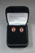 Dark Red, Polished Dinosaur Bone (Gembone) Post Earrings #54097-2